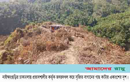 নাইক্ষ্যংছড়ির চাক ঢালায় এক অসহায় পরিবারের পাহাড়ী ভূমি দখলে মরিয়া এক প্রভাবশালী