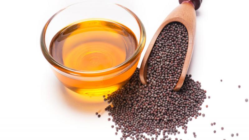 অকালে চুল পাকা রোধ করে সরিষার তেল