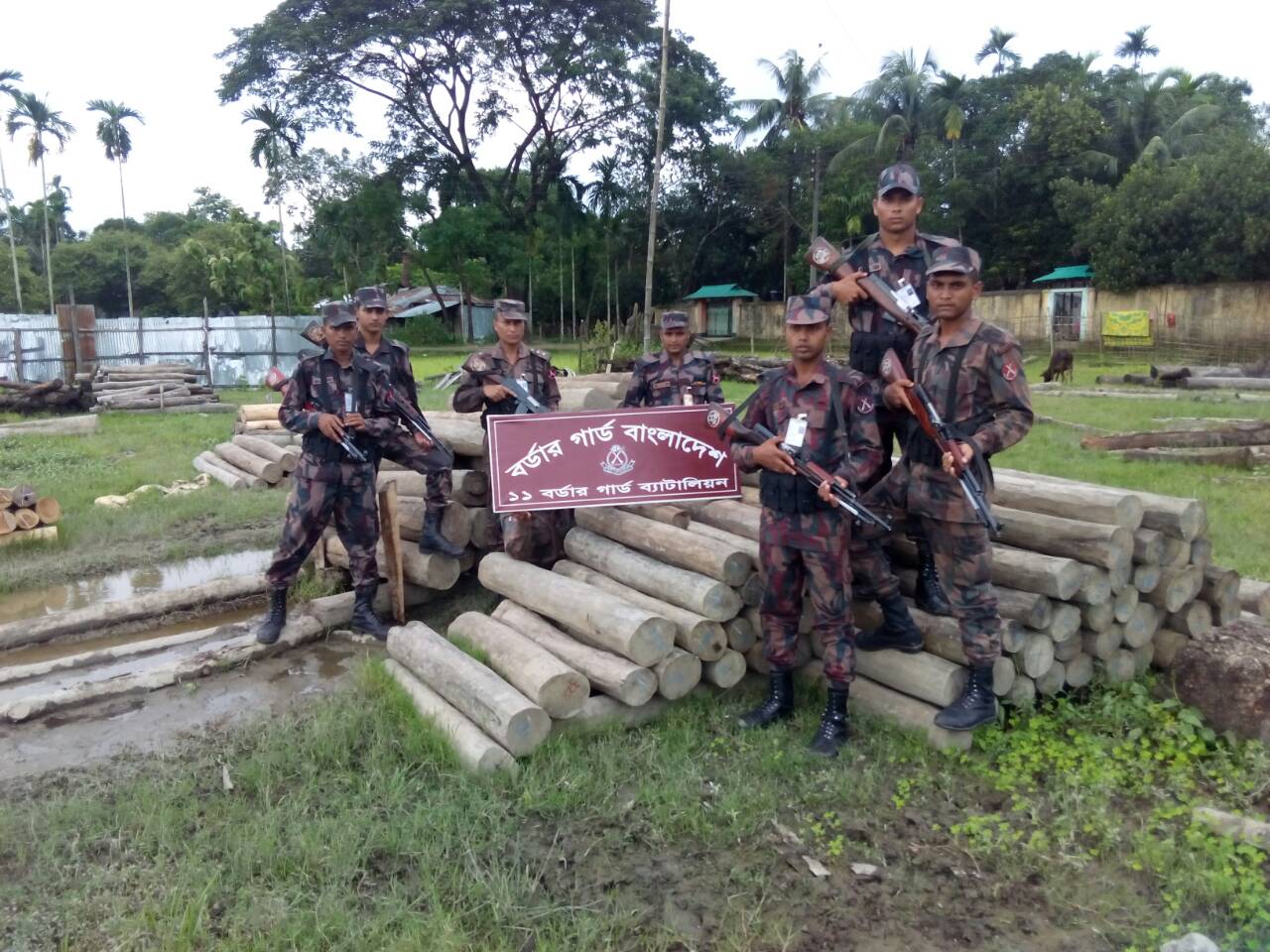 নাইক্ষ্যংছড়িতে বিজিবির অভিযানে ৩৯ লাখ টাকার সেগুণ কাঠ জব্দ