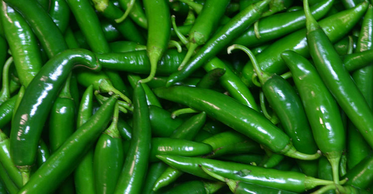 কাঁচা মরিচ দীর্ঘদিন তাজা রাখবেন যেভাবে