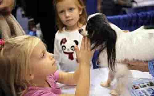 শিশুকে পোষা প্রাণী কামড়ালে কী করবেন?