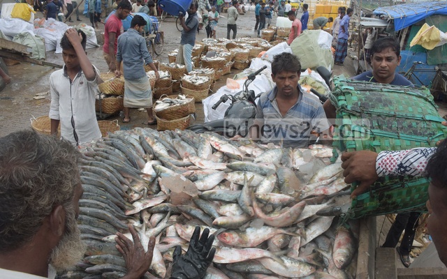 অক্টোবরে ২২ দিন ইলিশ ধরা নিষিদ্ধ