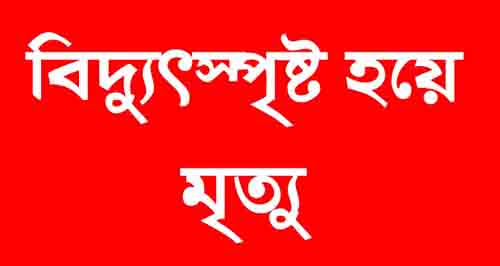 রামুতে বিদ্যুৎস্পৃষ্ঠ হয়ে যুবকের মৃত্যু