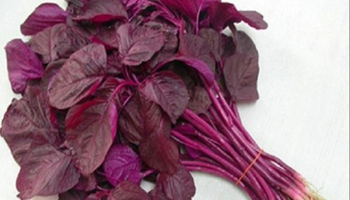 রক্তশূন্যতা কমায় লাল শাক