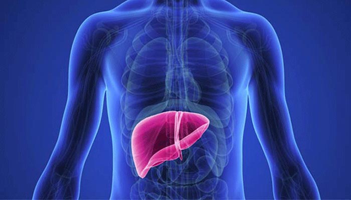 লিভার সিরোসিস কখন হয়