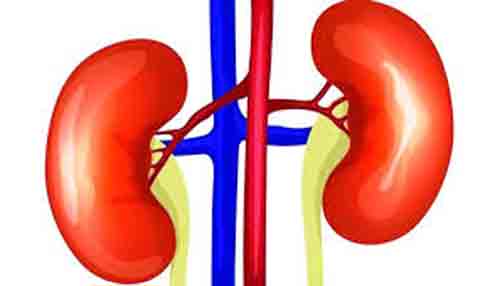 নিজের কিডনি বিক্রির চেষ্টায় তিনবার ভারতে বাংলাদেশি গণি মিয়া