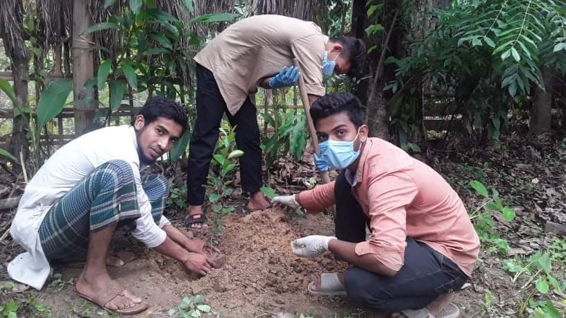 রামুর রশিদনগর জ্ঞান পাঠাগারের বৃক্ষরোপণ সপ্তাহ’২০ উদ্বোধন
