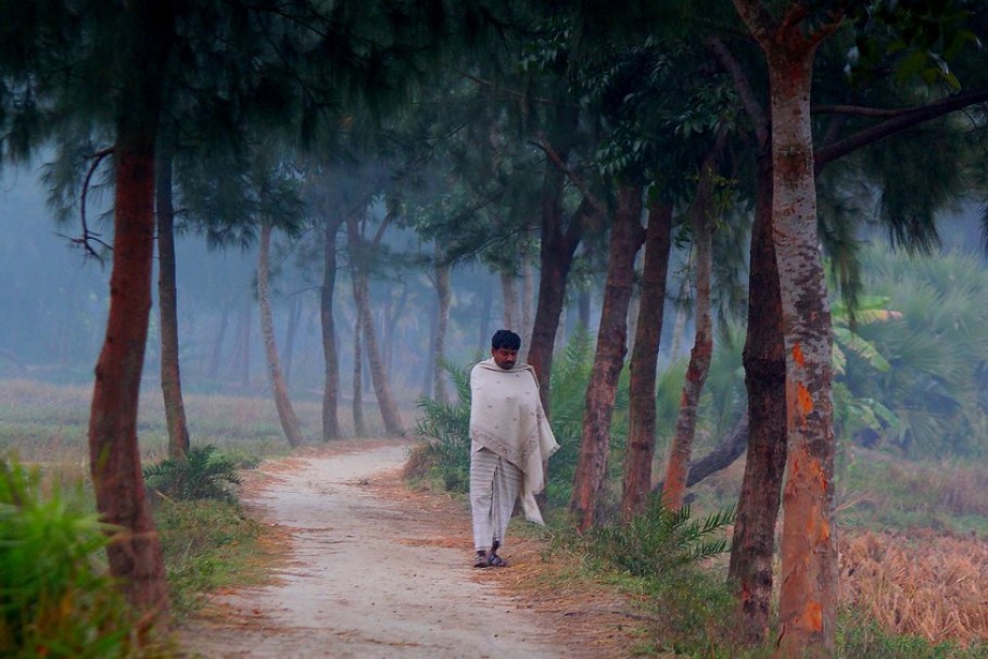 শীত থাকবে মাসজুড়ে