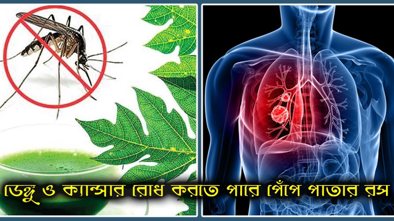 ডেঙ্গু ও ক্যান্সার রোধ করতে পারে পেঁপে পাতার রস