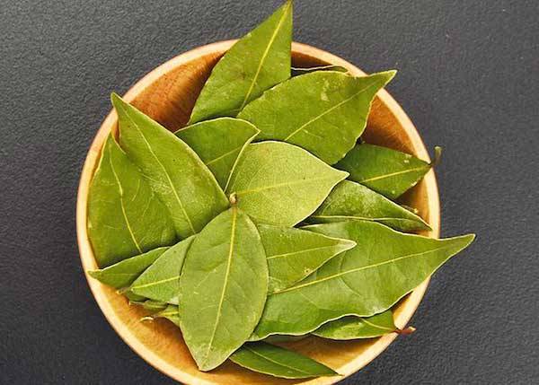 খুশখুশে কাশি ও গলা ব্যথা দূর করবে তেজপাতা!