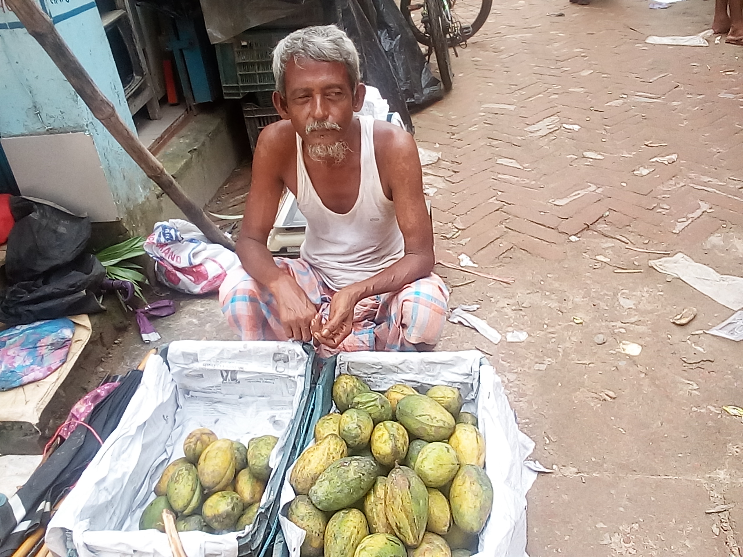 লামায় বেড়ে চলেছে রাংগুই আমের ; দাম কম থাকায় হতাশায় বাগানিরা