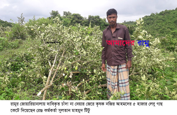 রামুতে চাঁদা না দেয়ায় ৫ হাজার লেবু গাছ কেটে দেয়ার অভিযোগ রেঞ্জ কর্মকর্তার বিরুদ্ধে