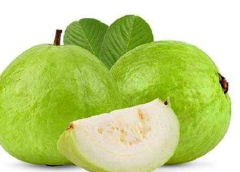ডায়াবেটিস প্রতিরোধে পেয়ারা