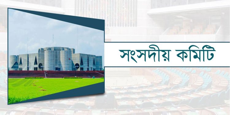 ক্ষুদ্র নৃগোষ্ঠীর জন্য আলাদা অধিদপ্তর চায় সংসদীয় কমিটি