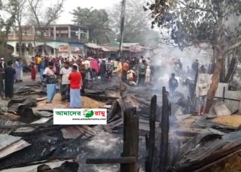 গর্জনিয়া বাজারের আগুনে পুড়ে গেলো ২০ দোকান: দগ্ধ এক প্রতিবন্ধী শিশু