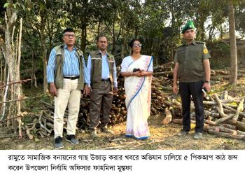 রামুতে সামাজিক বনায়ন উজাড় করছে বনদস্যু চক্র : ইউএনও’র অভিযানে ৫ পিকআপ কাঠ জব্দ