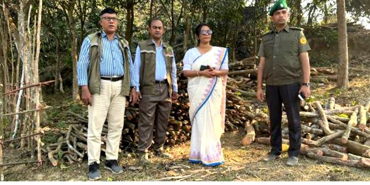 রামুতে সামাজিক বনায়ন উজাড় করছে বনদস্যু চক্র : ইউএনও’র অভিযানে ৫ পিকআপ কাঠ জব্দ