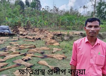 লামায় ৬ লক্ষ ঝাড়ু ফুল পুড়ে দিল দূর্বৃত্তরা,থানায় লিখিত অভিযোগ