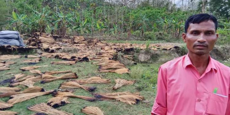 লামায় ৬ লক্ষ ঝাড়ু ফুল পুড়ে দিল দূর্বৃত্তরা,থানায় লিখিত অভিযোগ