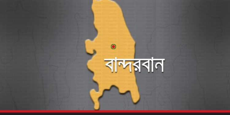 লামায় পৃথক বন্য হাতি ও বিদ্যুৎস্পর্শে ২ জনের মৃত্যু
