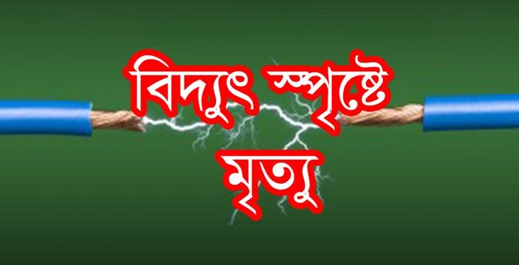 আলীকদমে চৈক্ষ্যং বিদ্যুৎস্পৃষ্টে দুই শিশুর মৃত্যু