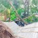 কক্সবাজারে ১০ হাজার ঘরবাড়ি ক্ষতিগ্রস্ত, আহত ১১