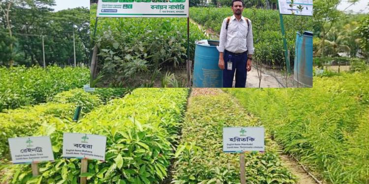 লামায় সবুজায়নে “বনায়ন নার্সারি”পাহাড়ে পরিবেশ সুরক্ষায় ভূমিকা রাখছে