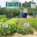 লামায় সবুজায়নে “বনায়ন নার্সারি”পাহাড়ে পরিবেশ সুরক্ষায় ভূমিকা রাখছে