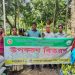 লামায় কাজু বাদাম,কপি চারা ও উপকরণ বিতরণ
