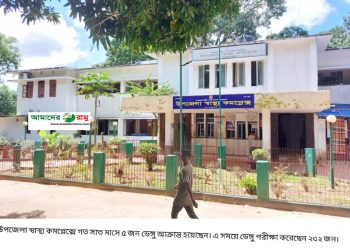 রামুতে ডেঙ্গু আতংক : সাত মাসে ডেঙ্গু আক্রান্ত ৫ জন