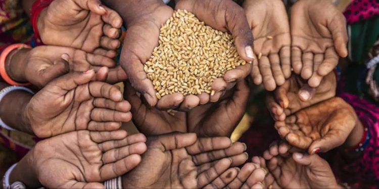 বিশ্বে তীব্র খাদ্যসংকটে সাড়ে ৭৩ কোটি মানুষ : জাতিসংঘ