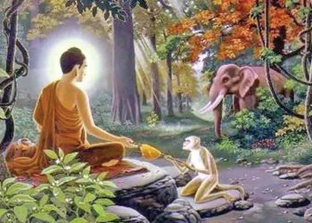 প্রেক্ষাপট : শুভ মধু পূর্ণিমা