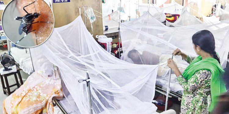 ডেঙ্গুতে মৃত্যু ৯০০ ছাড়াল, হাসপাতালে ৩০০৮