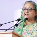 মশা মেরে শেষ করা যাবে না, সবাইকে সচেতন হতে হবে : প্রধানমন্ত্রী