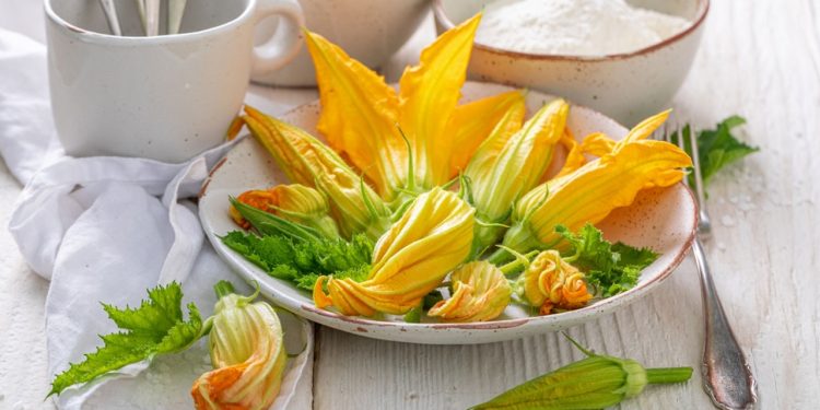 কুমড়া ফুল খাওয়ার উপকারিতা
