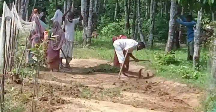 বনায়ন জায়গা দখল নিতে অপ্রয়োজনীয় রাস্তা তৈরি করার অভিযোগ