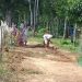 বনায়ন জায়গা দখল নিতে অপ্রয়োজনীয় রাস্তা তৈরি করার অভিযোগ