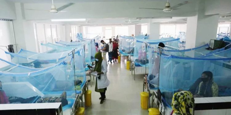 চলতি বছর ডেঙ্গুতে আক্রান্ত ৩ লাখ ছুঁইছুঁই