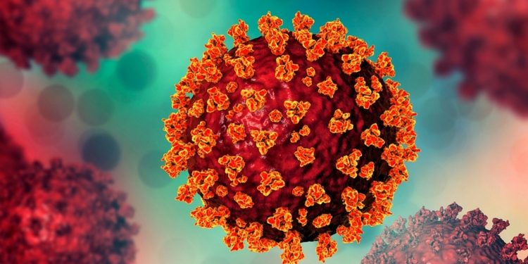 আবারও করোনা ভয়, মাস্ক পরাসহ চার পরামর্শ কারিগরি কমিটির