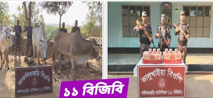 নাইক্ষ্যংছড়িতে বিজিবির অভিযান ৩টি গরুসহ বিভিন্ন পণ্য জব্দ