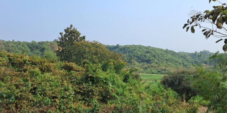 মিয়ানমারের অভ্যন্তরে মাইন বিস্ফোরণে এক বাংলাদেশি আহত