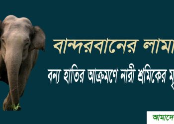লামায় হাতির আক্রমণে নারী শ্রমিকের মৃত্যু