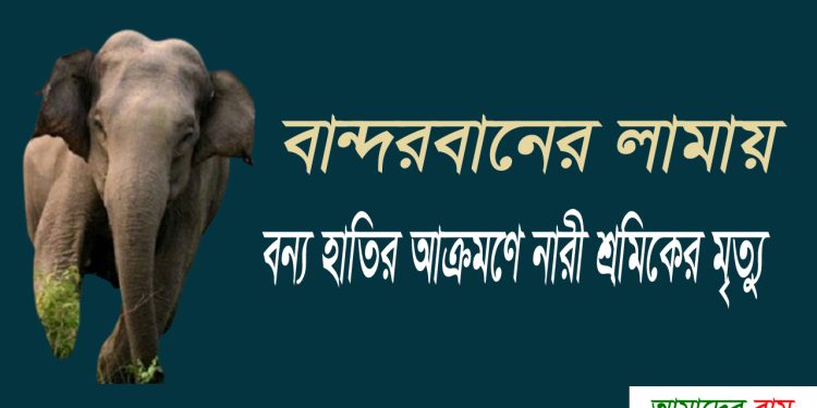 লামায় হাতির আক্রমণে নারী শ্রমিকের মৃত্যু
