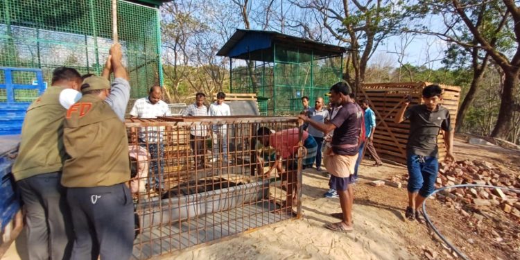 বান্দরবানে মেঘলা মিনি চিড়িয়াখানা বন্ধ ঘোষণা,প্রাণীগুলো হস্তান্তর