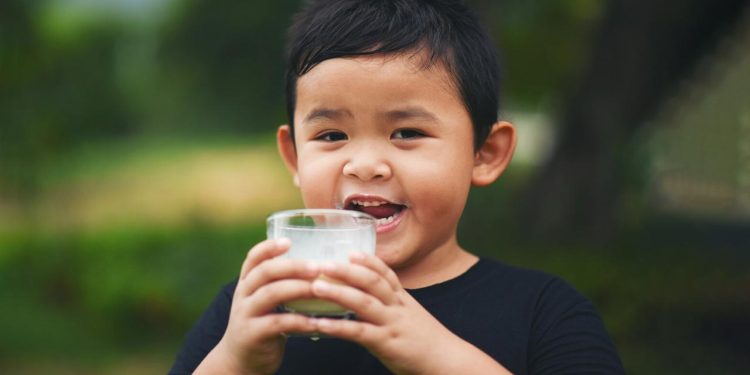 গুঁড়া দুধ কি শিশুর জন্য ক্ষতিকর?