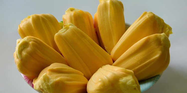 কাঁঠাল খাওয়ার এই উপকারিতাগুলো জানতেন?