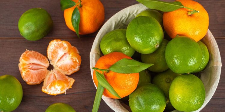 লেবু নাকি কমলা, কোন ফলে ভিটামিন সি বেশি থাকে?