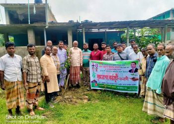 লামার সরইতে কৃষক দলের আয়োজনে বৃক্ষরোপণ কর্মসূচি