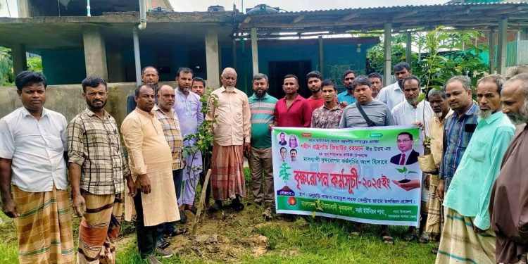 লামার সরইতে কৃষক দলের আয়োজনে বৃক্ষরোপণ কর্মসূচি