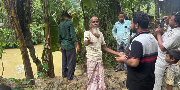 আলীকদমে দুর্যোগে গাছ পড়ে একজনের মৃত্যু
